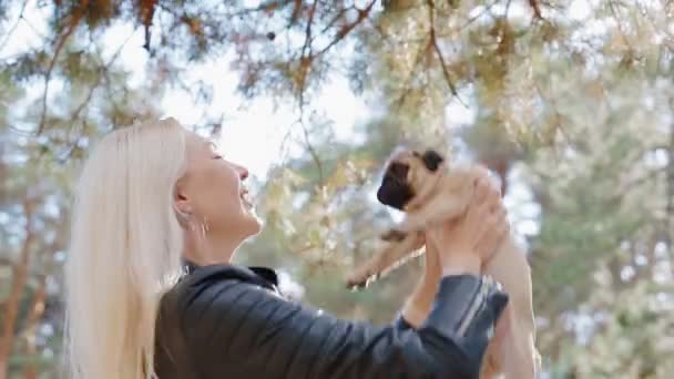 Biały dama miotał się puppy pug — Wideo stockowe