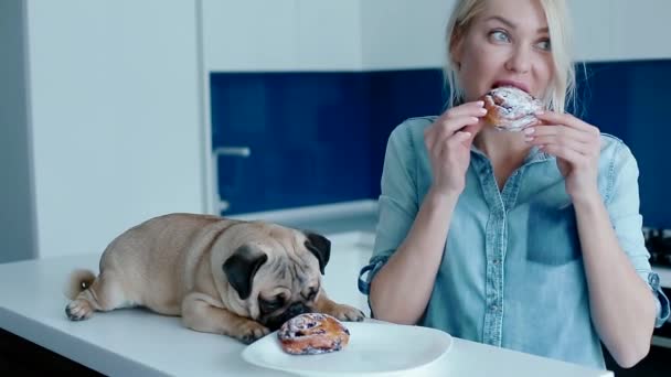 Der Besitzer neckt den Hund mit einem Brötchen — Stockvideo