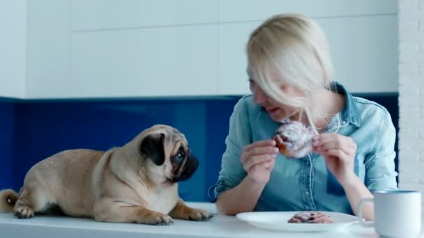 Le propriétaire taquine le chien avec un chignon — Video