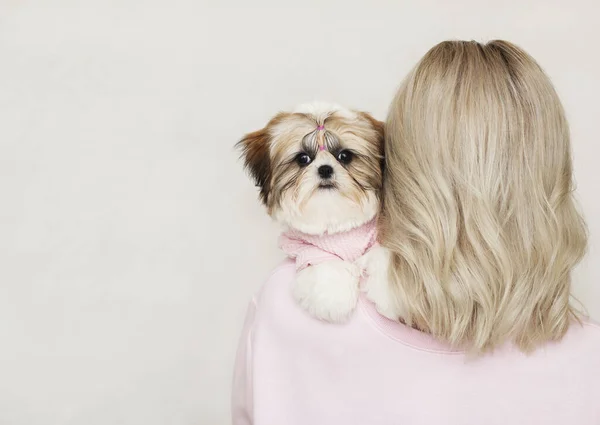 Shih tzu cachorro sentado no ombro da loira, roupas cor de rosa — Fotografia de Stock