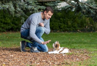 Adam köpeğe emir veriyor, köpek yavrusunu dışarıda eğitiyor.
