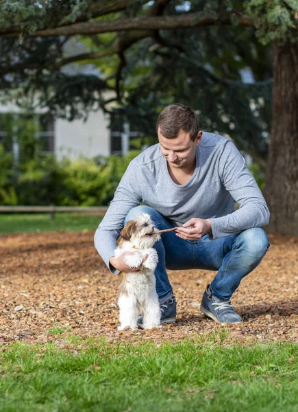 Shih Tzu ile dışarıda oynayan bir adam, parkta köpek eğitimi. — Stok fotoğraf
