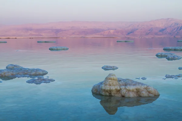 Bellissima costa del Mar Morto  . — Foto Stock