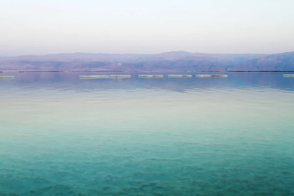 Bellissima costa del Mar Morto  . — Foto Stock