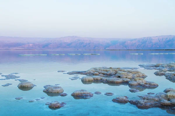 Pantai yang indah dari Laut Mati  . — Stok Foto