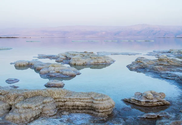 Красивое побережье Мертвого моря  . — стоковое фото