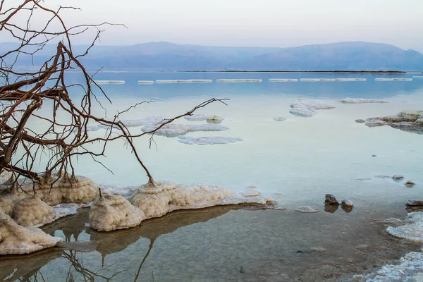 Pantai yang indah dari Laut Mati  . — Stok Foto