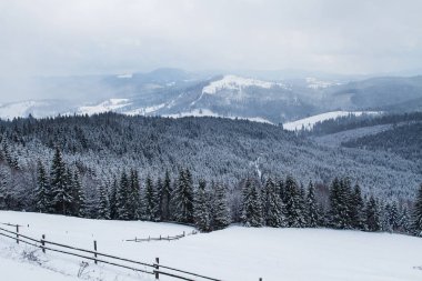 Kayak Merkezi Bukovel, Ukrayna.