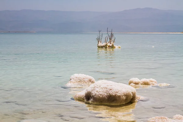 Beautiful coast of the Dead Sea . — Stock Photo, Image