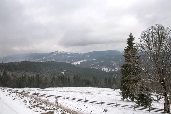 Skidorten Bukovel, Ukraine. — Stockfoto