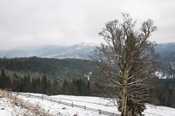 Skidorten Bukovel, Ukraine. — Stockfoto