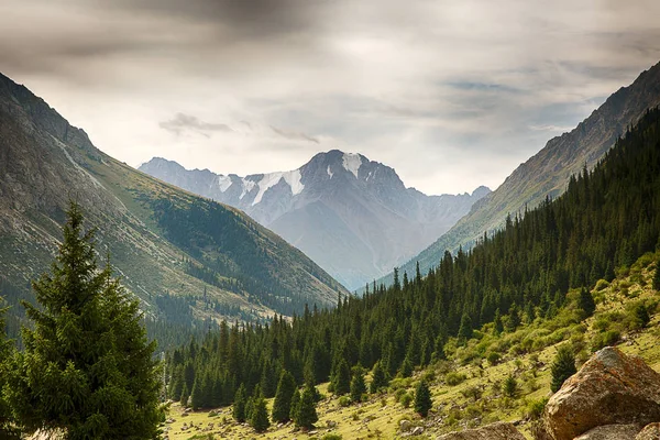 Stock image Kyrgyzstan. Gorge Barskoon.