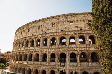 Roma'daki Colosseum güzel fotoğraf .