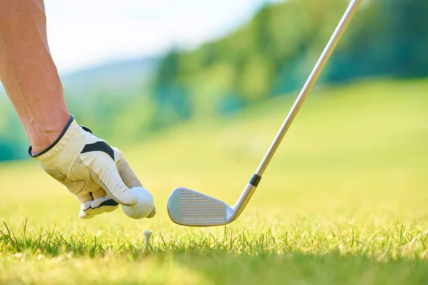 Mano Poniendo Pelota Golf Camiseta Campo Golf — Foto de Stock