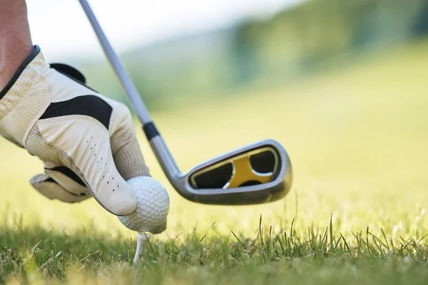 Hand putting golf ball on tee in golf course