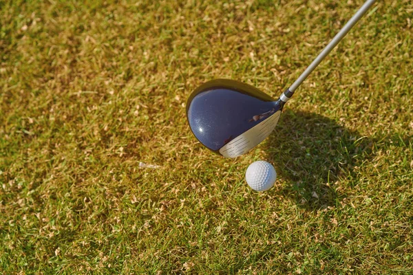 Bola Golfe Uma Grama Verde — Fotografia de Stock