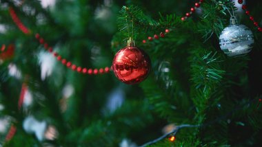 stüdyoda dekore Noel ağacı