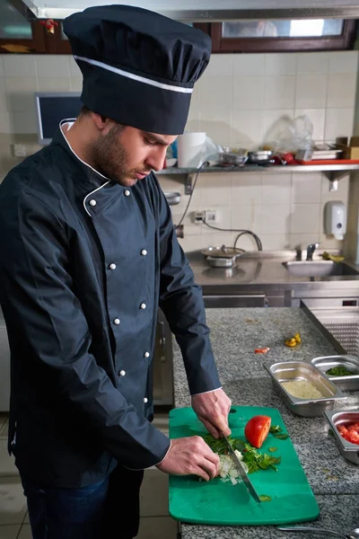 Chef Polvilhando Especiarias Prato Cozinha Comercial — Fotografia de Stock