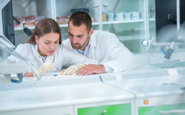 Takma diş, ağız hijyeni. Takma diş, takma diş, bir çalışma ve diş araçları içeren bir tablo üzerinde çalışırken protez eller.