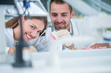 Takma diş, ağız hijyeni. Takma diş, takma diş, bir çalışma ve diş araçları içeren bir tablo üzerinde çalışırken protez eller.