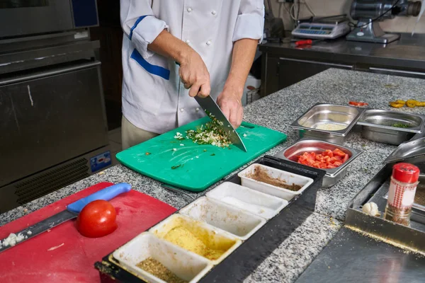 Chef Polvilhando Especiarias Prato Cozinha Comercial — Fotografia de Stock