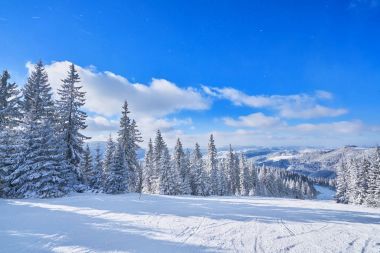 güneşli bir dağ kayak pisti. Kış dağ manzarası