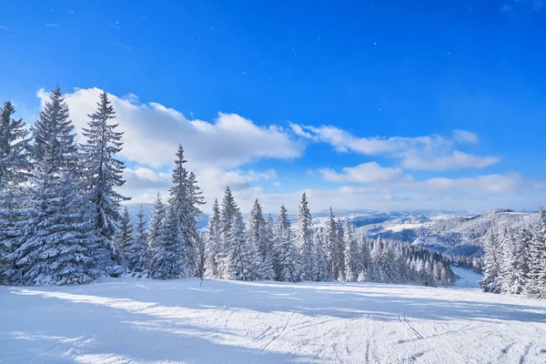 güneşli bir dağ kayak pisti. Kış dağ manzarası