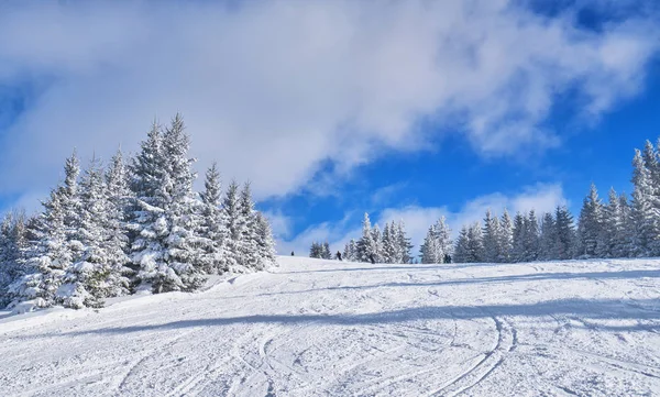 Berghang Einem Sonnigen Tag Winterliche Berglandschaft — Stockfoto