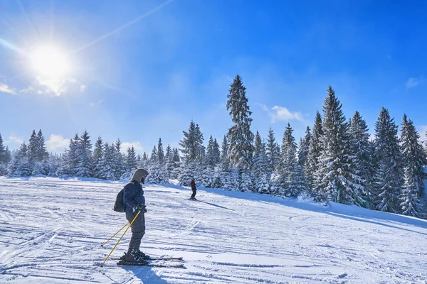 Berghang Einem Sonnigen Tag Winterliche Berglandschaft — Stockfoto