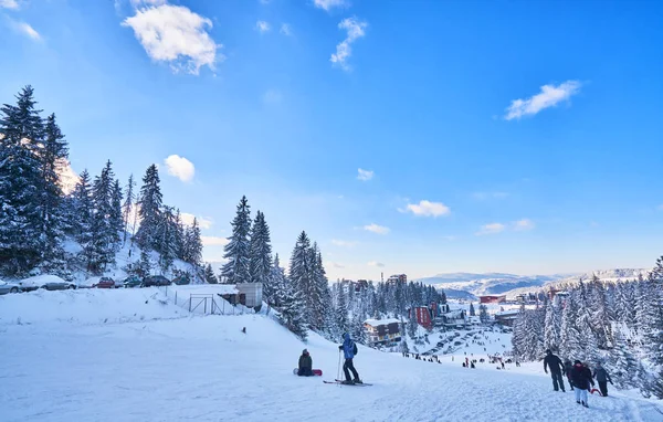 güneşli bir dağ kayak pisti. Kış dağ manzarası