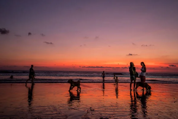 Ludzie Chodzą Plaży Lato — Zdjęcie stockowe