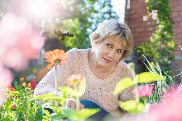 Eine Frau in ihrem Garten sammelt an einem sonnigen Tag Blumen und Pflanzen. — Stockfoto