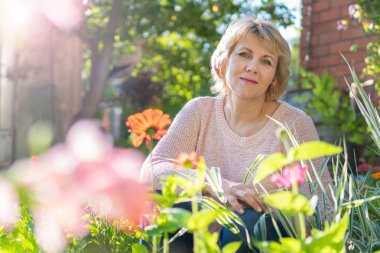 Bahçesinde bir kadın güneşli bir günde çiçek ve bitki topluyor..