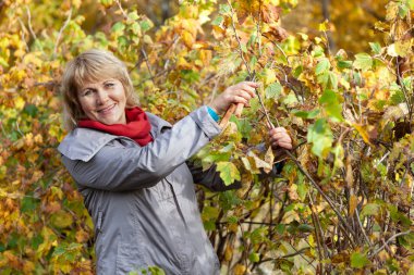 Sonbaharda kadın bahçede çalışıyor ve yaprakları temizliyor..