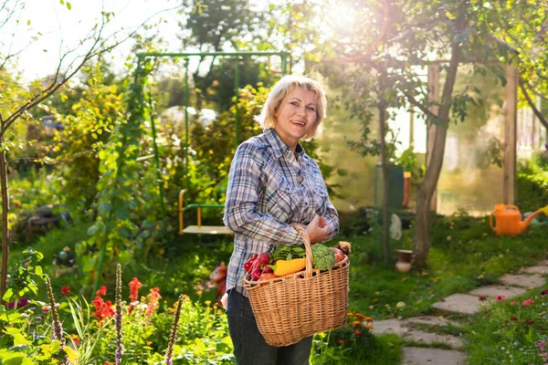 Wanita dengan sayuran segar di keranjang di kebun di musim gugur — Stok Foto