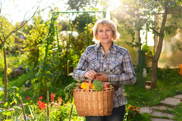 Wanita dengan sayuran segar di keranjang di kebun di musim gugur — Stok Foto