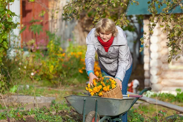 Woman in the garden harvests vegetables, fruits on the background of the house and trees. — Stock Photo, Image