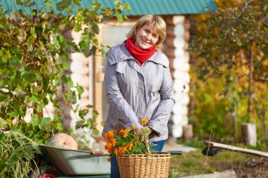 Woman in the garden harvests vegetables, fruits on the background of the house and trees. clipart