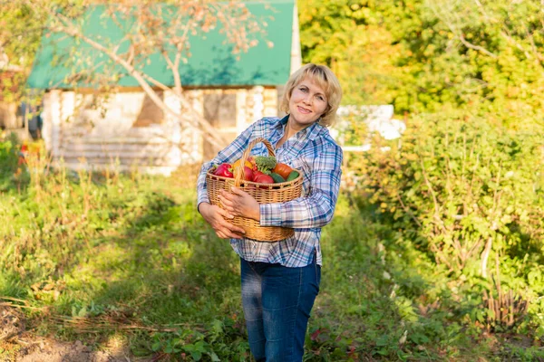 Wanita yang bekerja di kebun di tempat tidur sayuran — Stok Foto
