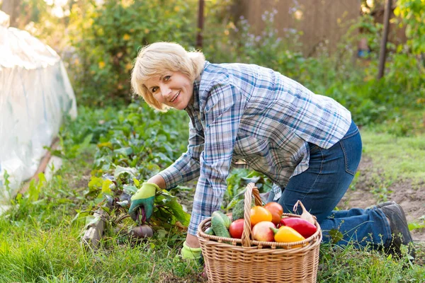 Wanita yang bekerja di kebunnya di tempat tidur sayuran dan bunga — Stok Foto