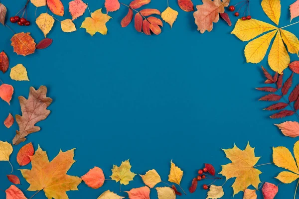Folhas de bordo de outono na mesa de madeira.Folhas de queda fundo natural. — Fotografia de Stock