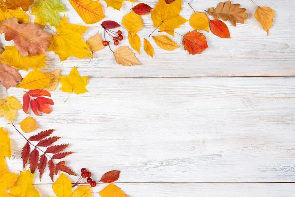 Sonbahar akçaağaç yaprakları ahşap masa üzerinde. Düşen yapraklar doğal arkaplan..