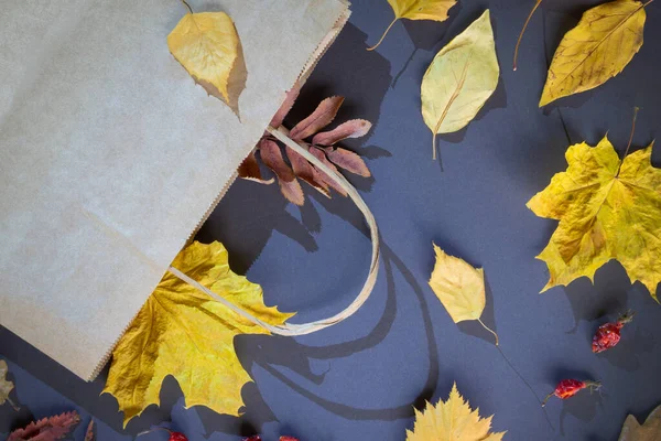 Paper bag and autumn leaves on dark paper background