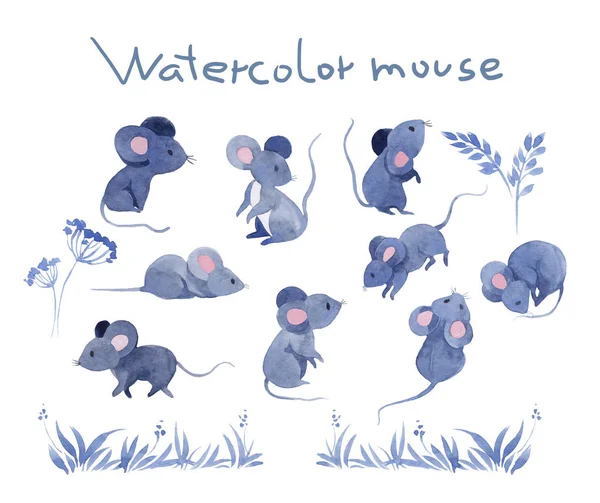 Sada akvarelů s kreslenými myšmi — Stock fotografie