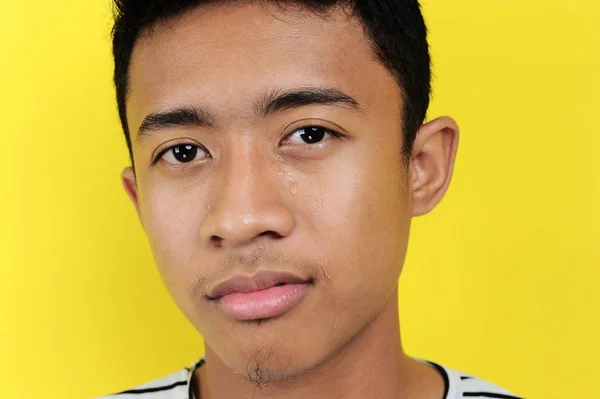 Молодий азіатський плач, ізольований на жовтому — стокове фото