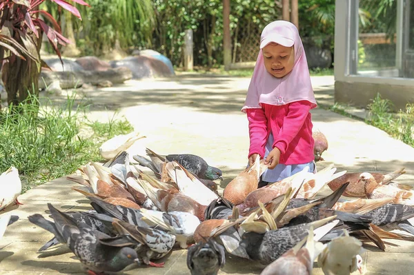 Sedikit lucu gadis Asia Muslim bermain dengan merpati. Di Taman Hiburan — Stok Foto