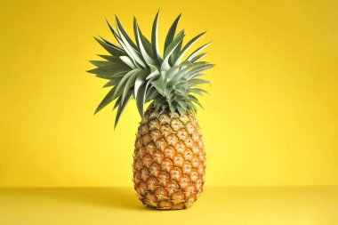 Parlak sarı arka planda ananas. Taze ananas.