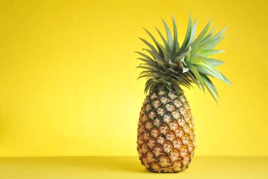 Parlak sarı arka planda ananas. Taze ananas.