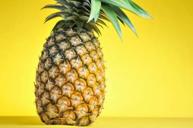 Parlak sarı arka planda ananas. Taze ananas.