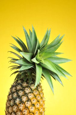 Parlak sarı arka planda ananas. Taze ananas.